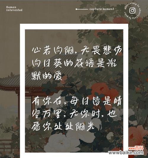 花语中的沉默且热烈的爱是什么意思？它传达了哪种情感？