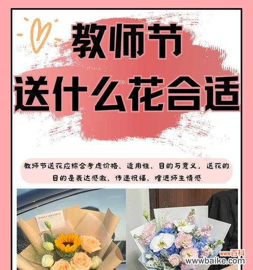 假期归来后送什么花表达情感？