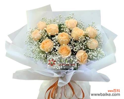 27朵香槟玫瑰的花语表达了什么?