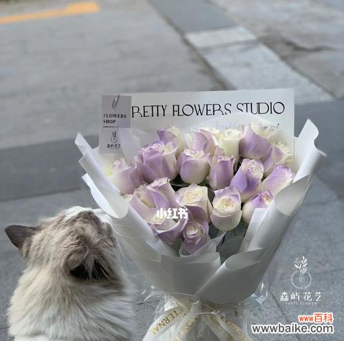 薄雾玫瑰花语的深刻内涵与传递 浪漫之美