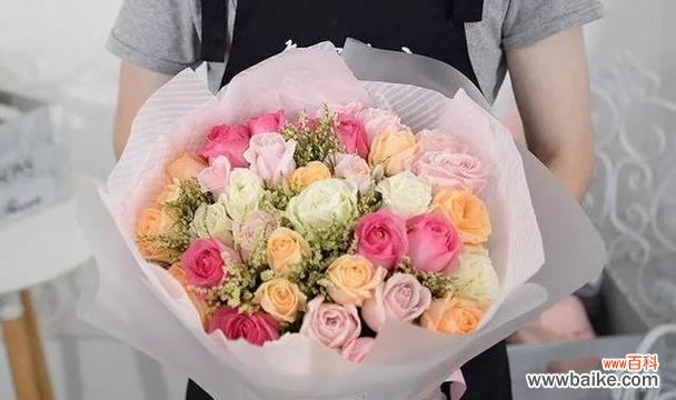 揭示仙人球花的花语与象征意义 仙人球花的花语象征与寓意