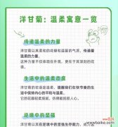 女神节浪漫的花语是什么？它传递了哪些情感？