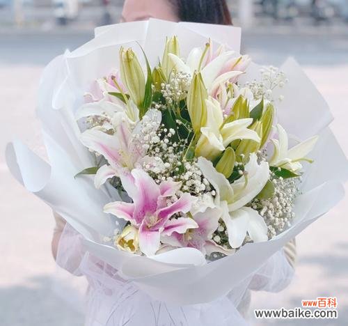 蜂蜜百合花语是什么？蜂蜜百合的寓意有哪些？