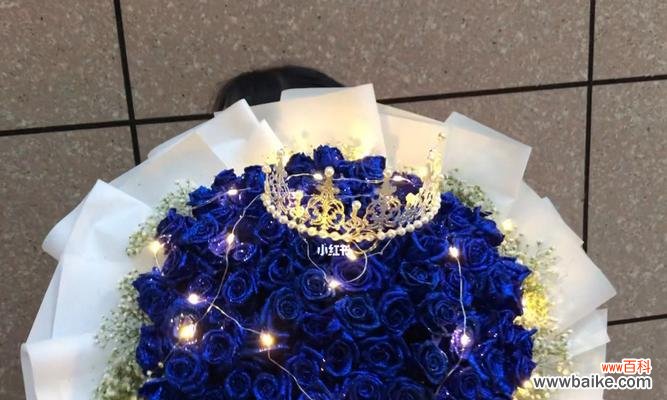 寒冷中的温暖,冰雪中的希望 冰蓝色玫瑰