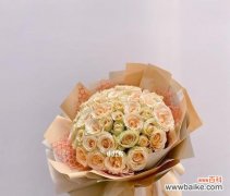 探秘香槟金玫瑰的神秘象征 香槟金玫瑰花语的含义及象征