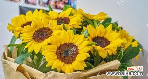 高考后花语的寓意是什么？