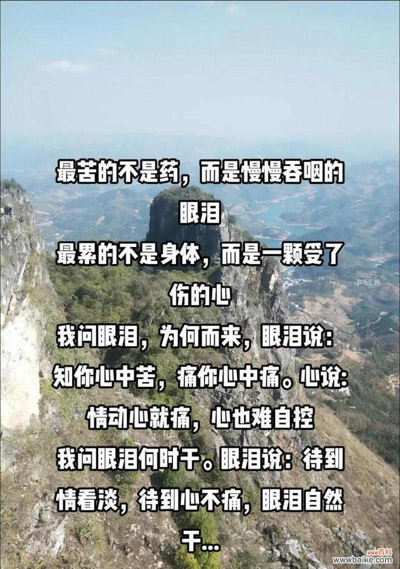 心如针刺之苦的花语有何含义?