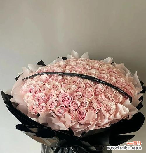 8朵玫瑰花的花语有哪些？