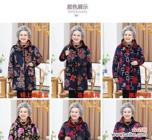 大花棉袄的花语有何含义?它象征着什么?