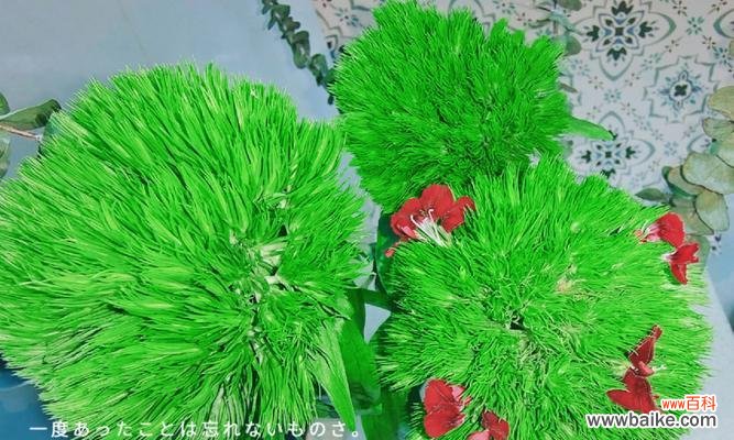 绿球球象征着什么?