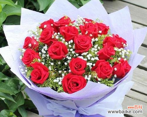 探索不同玫瑰花的花语与意义 玫瑰花的花语