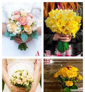 法师伴侣的花语代表了什么？