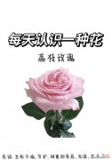 玫瑰花作为情侣标志有何含义？情侣间用玫瑰花代表什么？