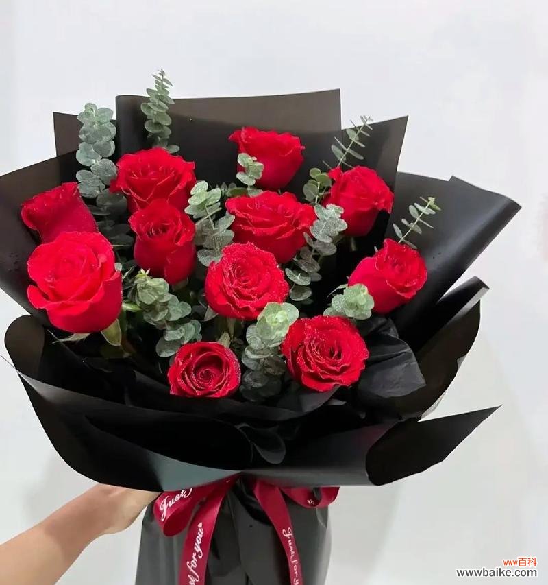 玫瑰花作为情侣标志有何含义?情侣间用玫瑰花代表什么?