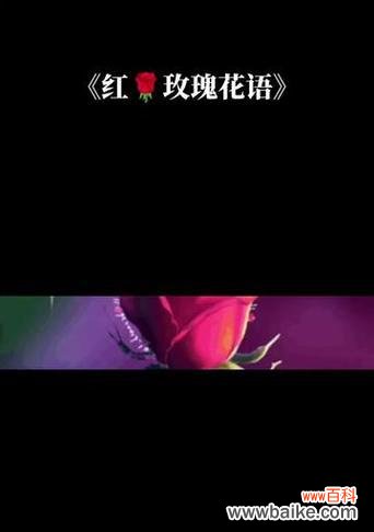 女生送男生玫瑰花有何特别含义？