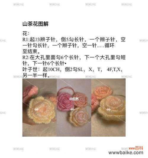 毛绒花作为礼物的花语含义是什么?