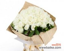 99朵黑白玫瑰花的花语是什么？