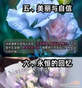 六枝洋桔梗的花语有何含义？洋桔梗花束的寓意是什么？