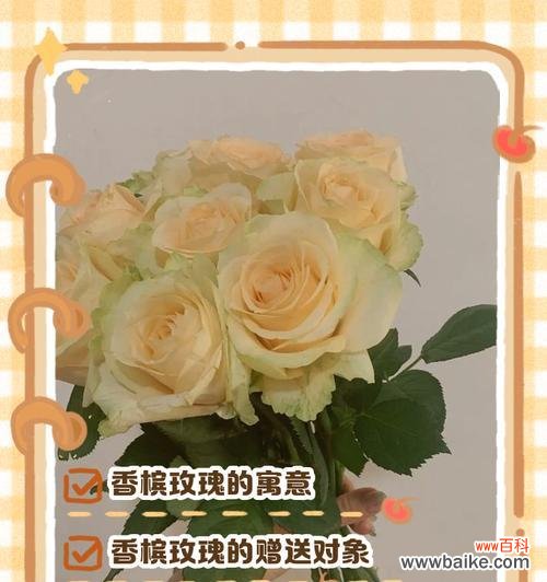 送玫瑰花代表什么啊女生？女生收到玫瑰有何寓意？