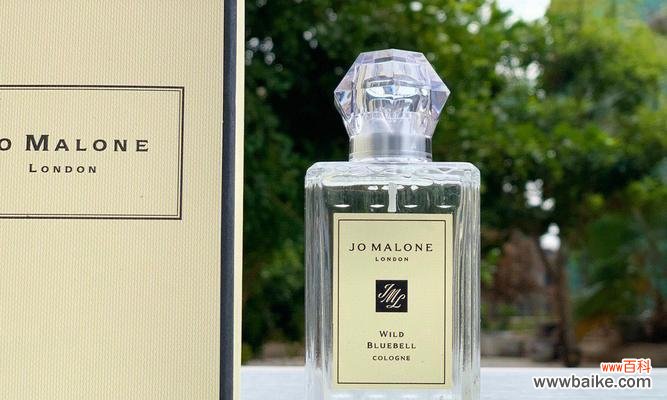 香水蓝风铃的花语是什么？它象征着什么？