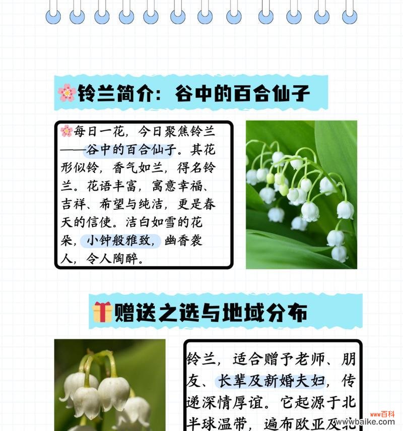 好可爱的小宝宝花语是什么?小宝宝相关的花语有哪些?