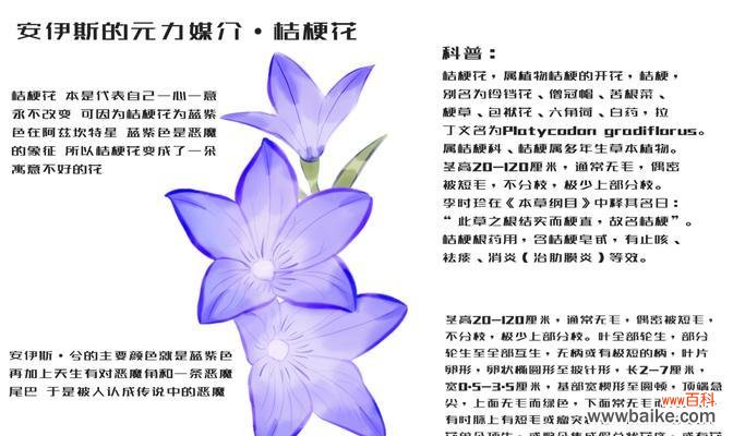 好可爱的小宝宝花语是什么?小宝宝相关的花语有哪些?