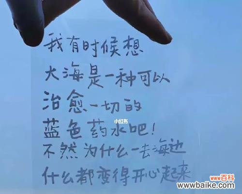 告白花语通常包含哪些含义？它如何表达爱意？