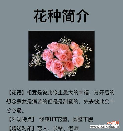 爱玫瑰也爱月季的花语是什么？这两种花分别代表了什么？