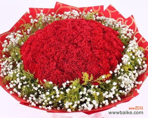 以爱与热情绽放的康乃馨 大红色康乃馨花语的魅力