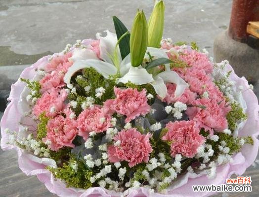 19朵康乃馨的花语有何深意？康乃馨代表了哪些情感？