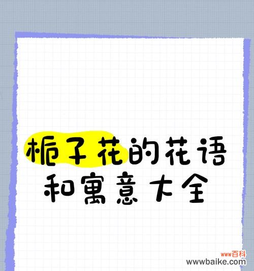 栀子花绽放时的花语是什么?