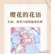 桃子的寓意花语是什么？它在传统中有哪些美好的象征？