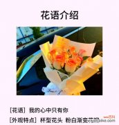 道具最真挚的爱情花语是什么？哪种花代表纯真的爱？