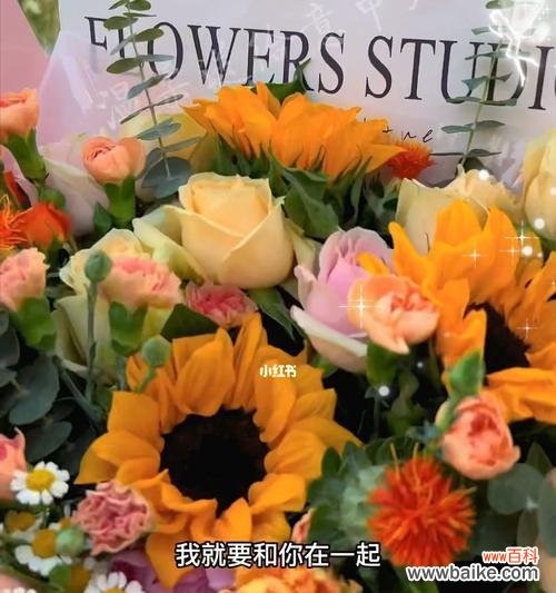 探寻代表爱情与忠诚的花朵之美 永恒的花朵