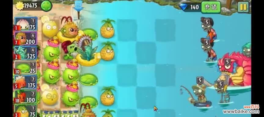 揭开世界上最令人恐惧的植物之谜 邪恶的植物——黑暗中的绿色生命