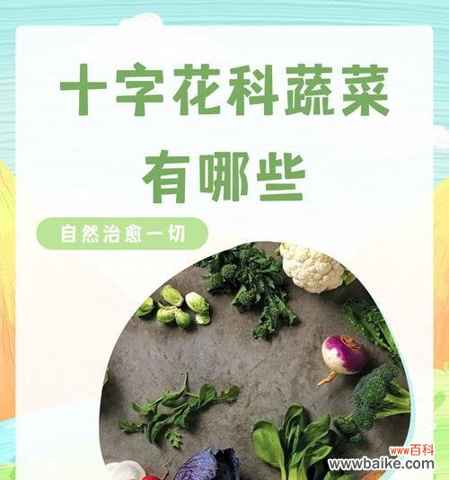 切西兰花的花语代表什么含义？