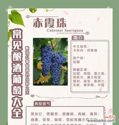 两串葡萄代表什么含义？