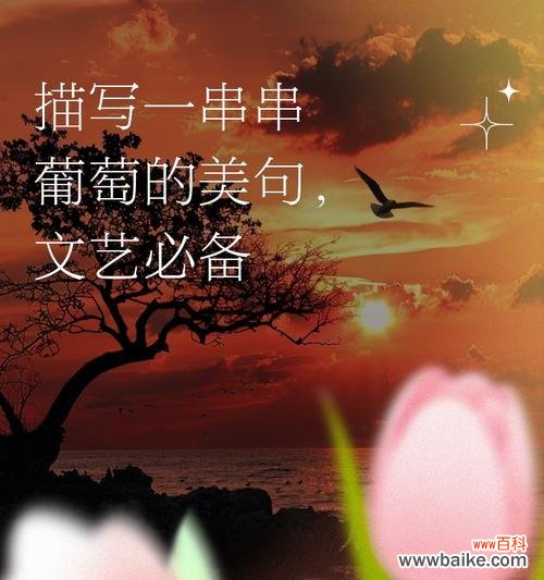 两串葡萄代表什么含义？