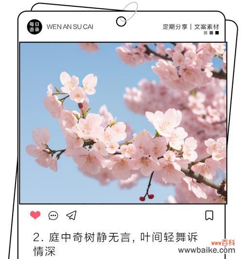 眉中花语的意思和造句是什么？这种花语在句子中如何表达？