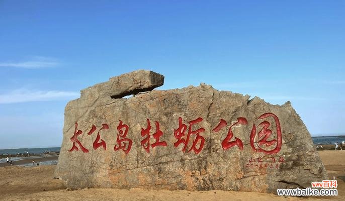 爱心岛充满花语代表什么？花语在爱心岛的意义是什么？