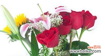 选择适合友谊的花束,传递真挚情谊 以代表友谊的花送什么?