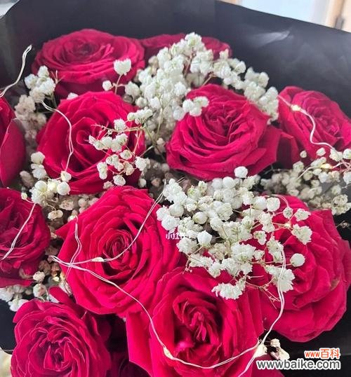 以代表友谊的花品种及象征意义 友谊长存，花开不败