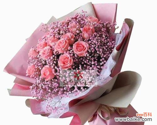 探索戴安娜玫瑰的含义及其在生活中的应用 戴安娜玫瑰的花语