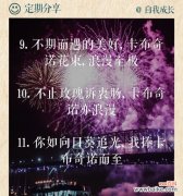 999朵卡布奇诺代表什么花语？