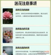 姐妹们送的花代表什么？花语有哪些含义？