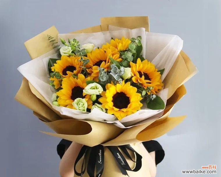 自己买向日葵是什么花语？向日葵花语代表了什么？