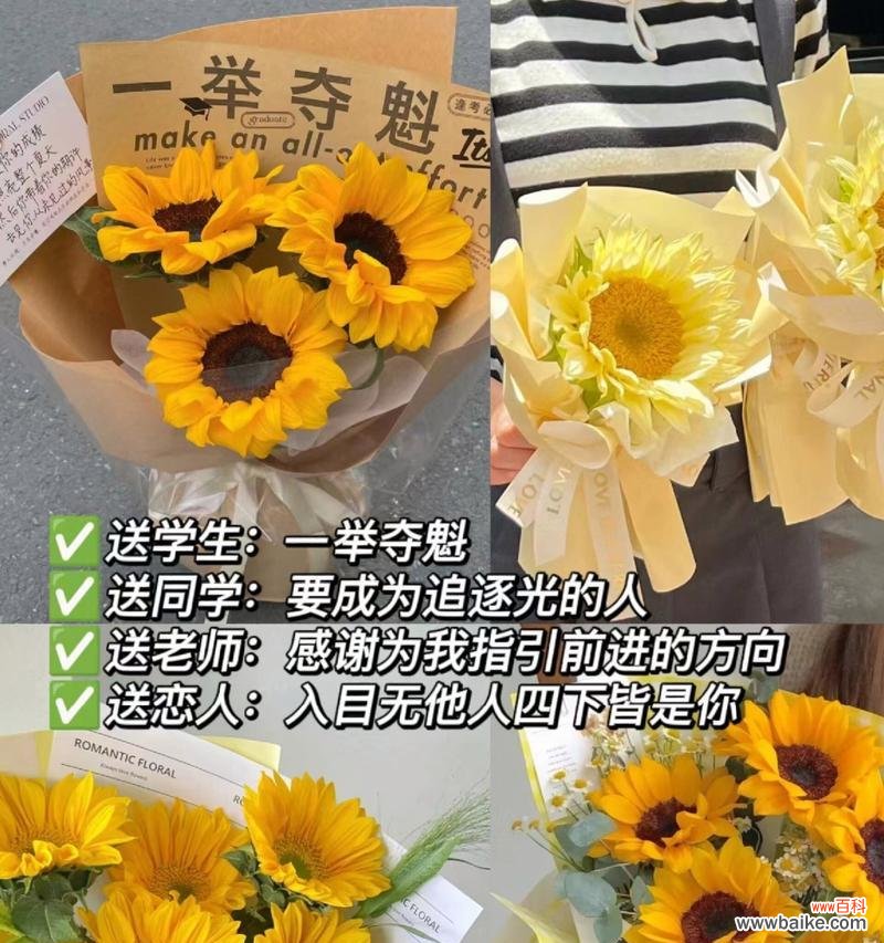 自己买向日葵是什么花语？向日葵花语代表了什么？