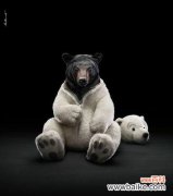 用什么花语来致敬实验动物？