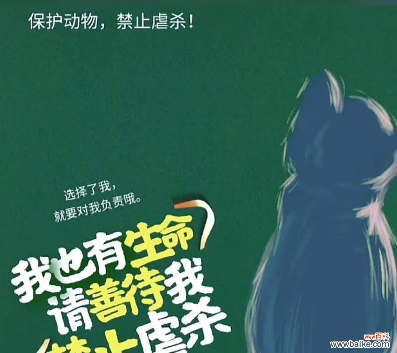 用什么花语来致敬实验动物？