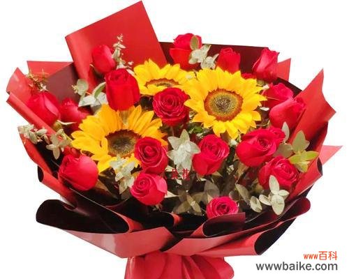 玫瑰花19朵什么意思?19朵玫瑰的花语有何特殊含义?